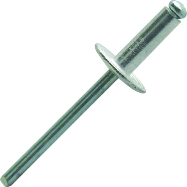 250 RIVETS STANDARDS - ALU/ACIER - TETE LARGE - 4,8X12MM