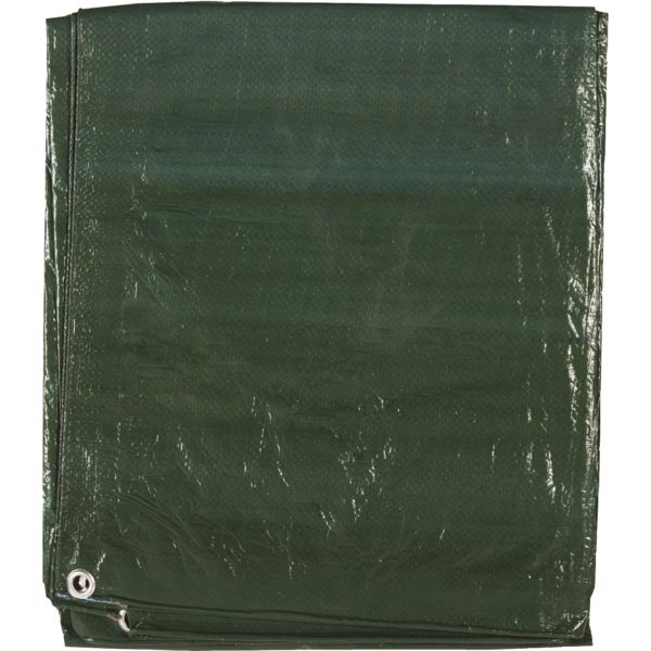 BACHE LEGERE 80G/M - 2 X 3 M