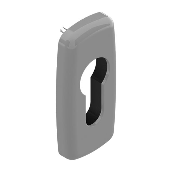 ROSETTE BARILLET CRYSTAL A VISSER GRIS