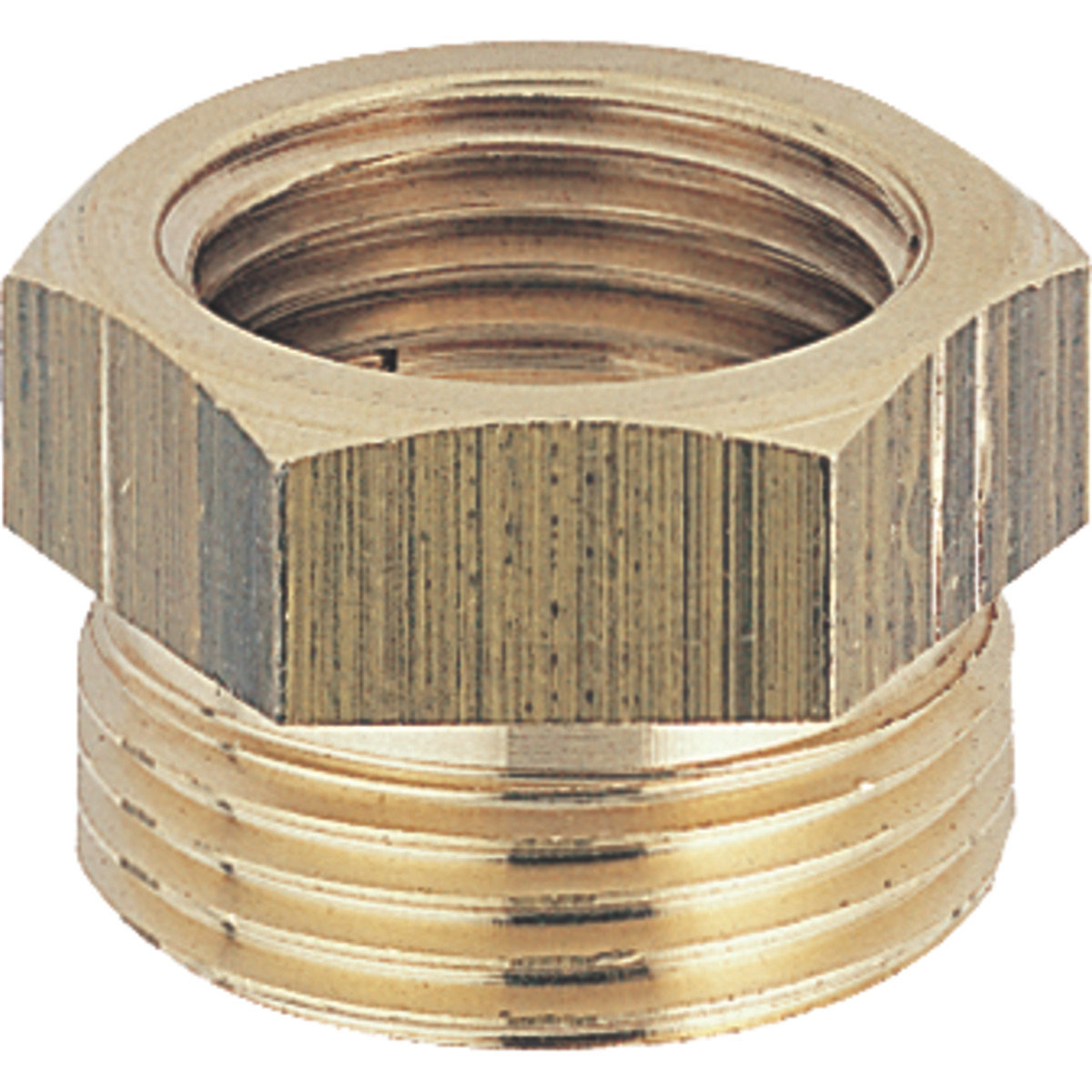 MAMELON 243 - MALE 1'1/2  FEMELLE  1'1/ 4