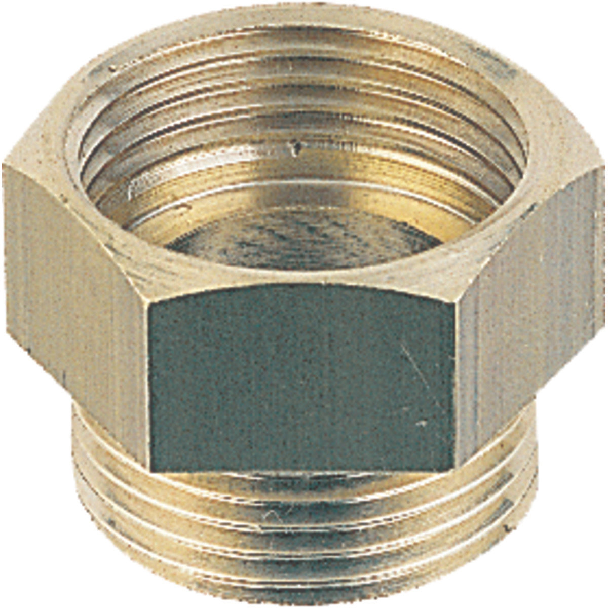 MAMELON 246 - FEMELLE 1""  (26X34)- MALE 1""